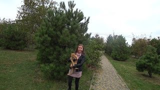 #АНАПА Плюсы и минусы. ВСЯ ПРАВДА ПРО АНАПУ!!! #АНАПА Плюсы и минусы. ВСЯ ПРАВДА ПРО АНАПУ!!!
