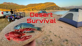 Survival in the Desert | Catching Everything I Eat