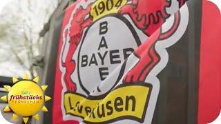 Große Emotionen - Leverkusen ist deutscher Fußballmeister 2024 | SAT.1 Frühstücksfernsehen