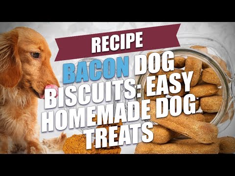 Bacon Dog Biscuits: Easy Homemade Dog Treats Recipe