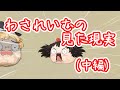 【ゆ虐】わされいむの見た現実（中編）