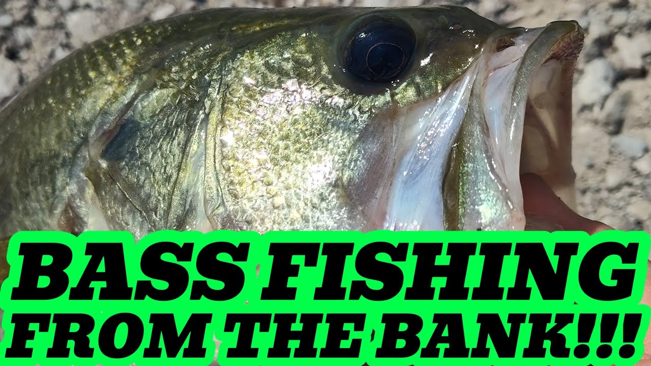 Using This EASY Technique For A BIG Bass From The BANK!
