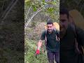 Fındık başlıyor 🌰🌰🌰 #vlog #giresun