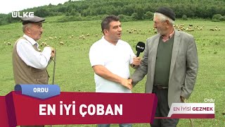 Tecrübeli Çoban Nasıl Anlaşılır En İyisi Gezmek