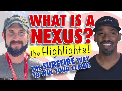 Highlights - The