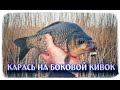 Ловля Карася на Боковой кивок