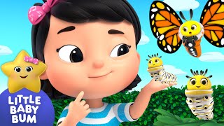 Caterpillar Wiggle Wiggle⭐ Mia's Learning Time! LittleBabyBum - Nursery Rhymes for Kids