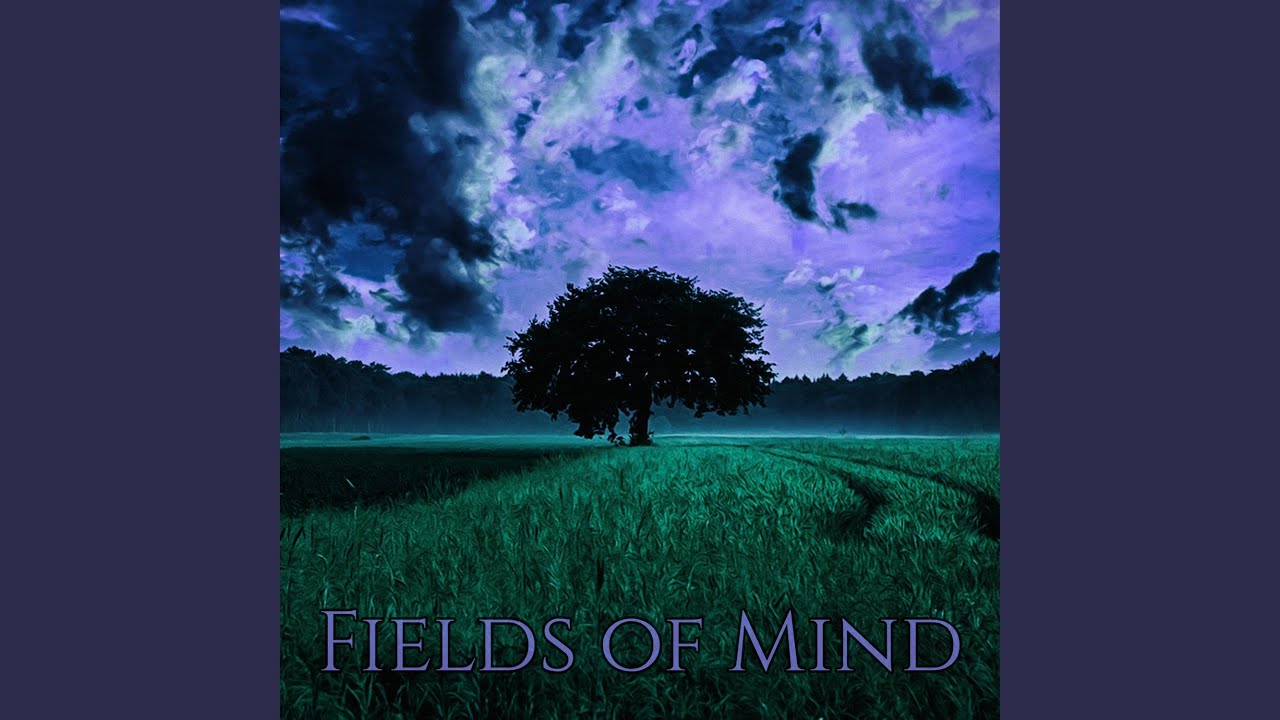 Fields of Mind YouTube