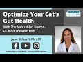 Optimizing your cats gut health with the natural pet doctor dr katie woodley dvm