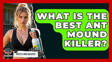 What Is The Best Ant Mound Killer? - Insects and Invaders