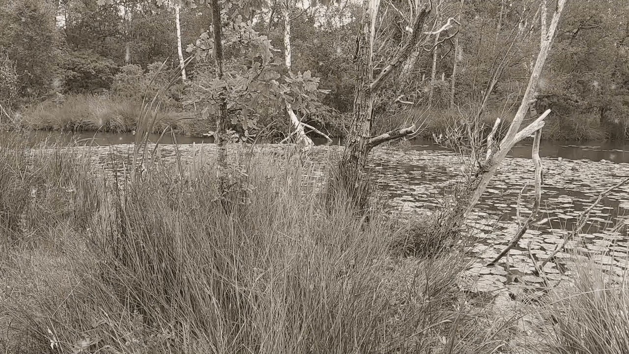 Trevor Howe & Nick Hunt "Her and I"