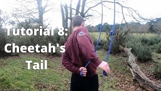 Tutorial 8: Cheetah's Tail