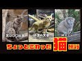 【東北1000キロ】九州のモトブロガーが東北巡行ツアーを決行しました!!【1日目】