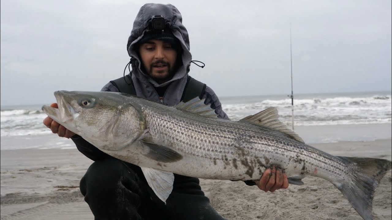 Surf Fishing for HUGE Striped Bass// NJ Fall Fishing 2021 