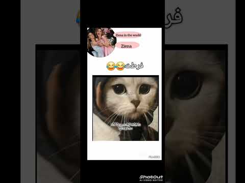 اشتركوا بحبكم زينه تحب زنزوناته