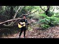 宮田和弥『明日へのメロディー』#石垣島 #伊原間のサガリバナ『CHAPTER 1』収録 #sakataguitars