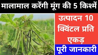 मूंग की टॉप 5 वैरायटीयां//Top 5 Moong Veraety//मूंग की खेती//Moong Ki Kheti//मूंग की सफल खेती