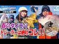 【タイラバ】早春のタイラバ やっぱり強いのは海毛虫