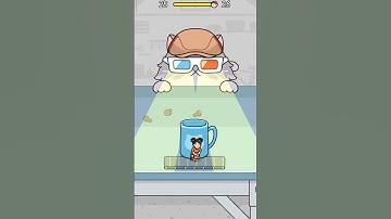 HİDE&SEEK CAT ESCAPE 6 😸#hideandseekgame #cats