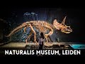 Naturalis museum 2022  rexperience  leiden centrum  netherlands 