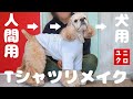 UNIQLOのTシャツを犬用にリメイクする方法