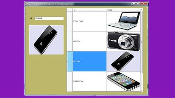 C# Tutorial - How To Get Image From DataGridView To PictureBox In C# [ With Source Code ]