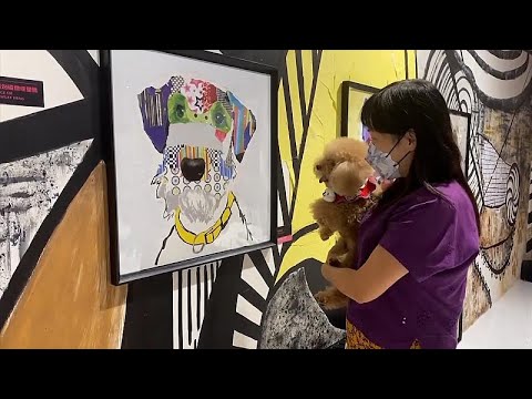 Exhibition for dogs displays artwork at their eye-level