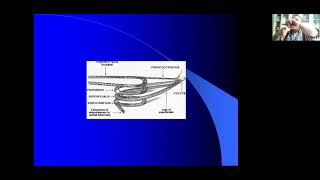 Anorektum Hastalıkları Tahsin Colak Dersler 1 Fonksiyonel