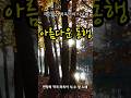 아름다운 동행|하옥이 시|한창희 작곡|수정 노래