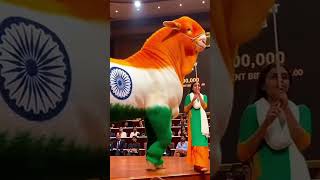भारत का सबसे बड़ा बकरा 🐐🇮🇳 #viral #love #video #bakramandi #bakraeid2026 🐐💯
