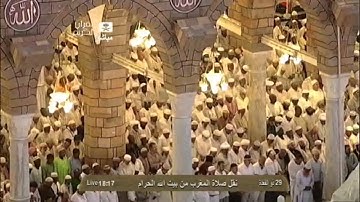 سورة الفجر بصوت فضيلة الشيخ د ماهر المعيقلي