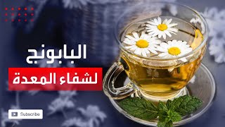 صحتك+ | البابونج يساعد على طرد الغازات والتخلص من آلام المعدة