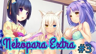 ПАРАМЕТРЫ НЕКО - Nekopara Extra №3 ПАРАМЕТРЫ НЕКО - Nekopara Extra №3