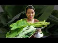 Taro Leaves Curry | Rare in Gurgaon | Naga Recipe