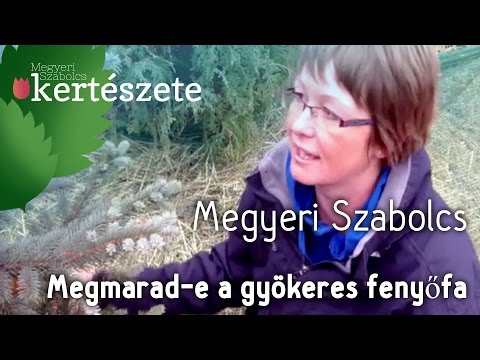 Videó: Mi az a vörösfenyő - Tények a vörösfenyőről és a vörösfenyők típusai