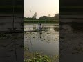 Trending hook fishing technique #fish #fishtrap #shorts
