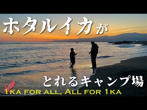 ホタルイカがとれるキャンプ場『IKA for all. All for IKA』我、編集しながら泣く #ホタキャン422（サーカスTCコンフォートソロ）【難民ソロキャンプ】〈遠征キャンプ〉