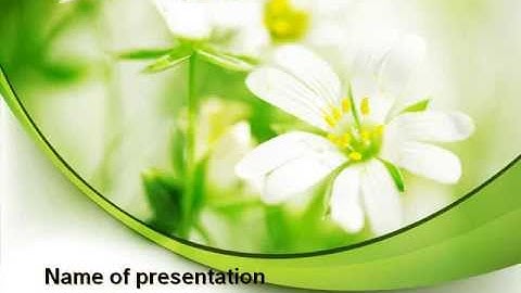 Spring Bloom PowerPoint Template by PoweredTemplate.com