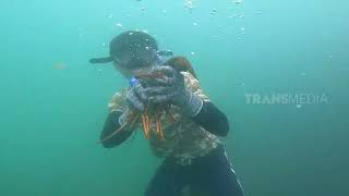 Tau Gak Sih Gak Semua Lobster Bisa Ditangkap!  | SI OTAN (11/01/23)