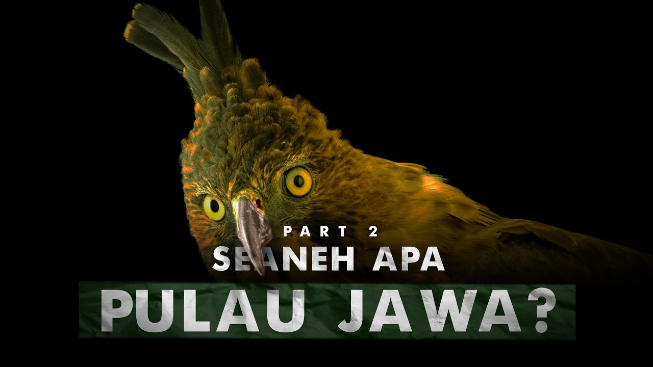 Rumah Asli Sang Garuda | Pulau Jawa – Part 2