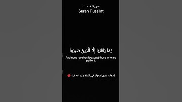 #سورة_فصلت ولا تستوي الحسنة ولا السيئة الشيخ #ياسر_الدوسري