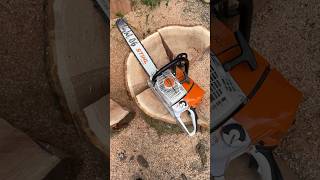 #holz #chainsaw #wood #forst #stihl #tree #stihlms661 #woodwork #oak #choppingwood
