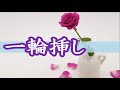 一輪挿し 浜博也  COVER