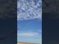 Black Eagles twist around each other at Avalon Airshow 2023!#shortvideo #shortsvideo #short #shorts