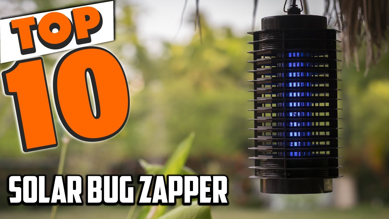 The 11 Best Bug Zappers in 2023