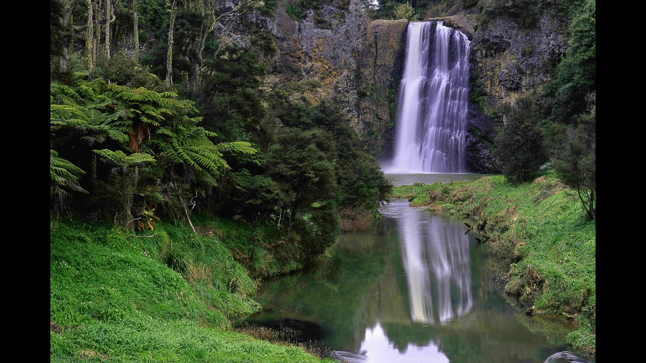 Live Music In New Zealand YouTube live-music-in-new-zealand-youtube