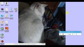 MMD Tutorial How to download Pmx (Needs to be redone)