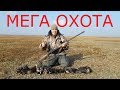 ОХОТА на УТОК #МЕГА ОХОТА#ЛУЧШАЯ ОХОТА 2019#УТОК МОРЕ КРЯКВА ЧИРОК