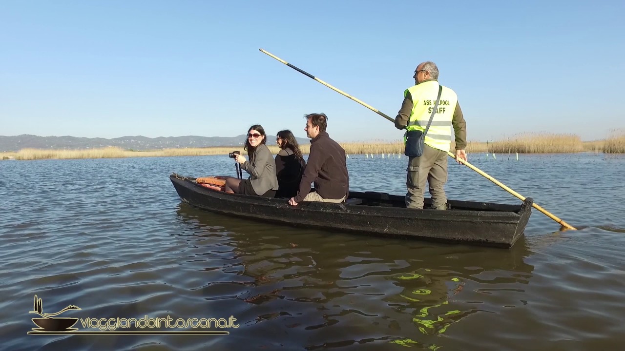 IL PADULE DI FUCECCHIO : OASI NATURALE DI MERAVIGLIE