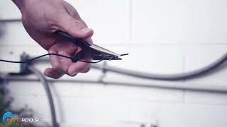 clean the pool pump impeller